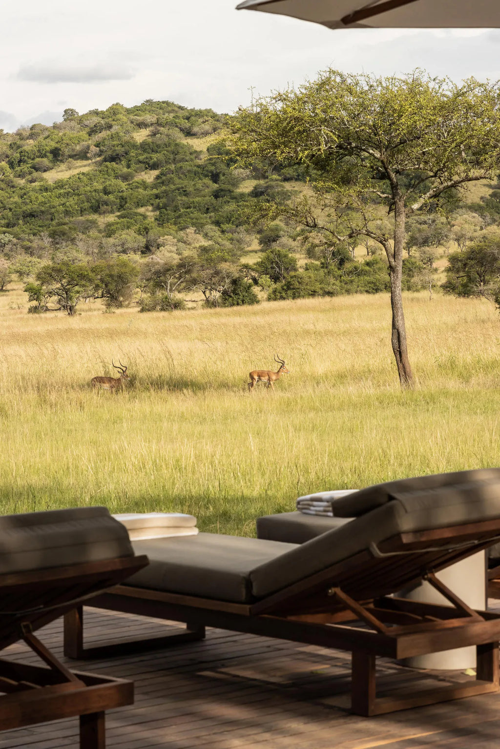 Singita Serengeti House at Singita Serengeti House, Singita Serengeti Grumeti, Tanzania.